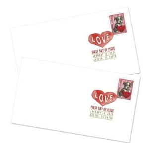 US Stamp SCT#5745-5746 Love Kitty Puppy (1 set of 2 pcs) DCP FDC - New - Picture 1 of 5
