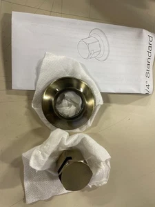 ThermaSol TSS-AB Cabezal de Vapor de Latón Redondo Tradicional, Latón Antiguo - Imagen 1 de 5