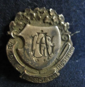 Distintivo Trostberg stemma del 1900 associazione GUARDA!!! Spilla - Foto 1 di 4
