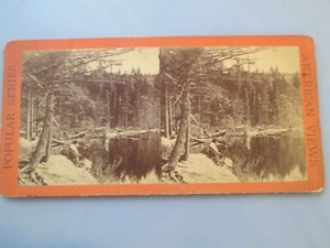 1870's Stereoview E & HT ANTHONY Glens of the Catskills View on South Lake - Picture 1 of 3