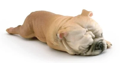 Bulldog Francés Perro Animal Juguete PVC Figura de Acción Niños Juguetes Fiesta Regalos Foto 1 de 2