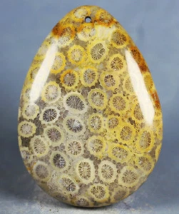 170Ct Natural Chrysanthemum Jade Coral Fossil Pendant Specimen - Picture 1 of 12