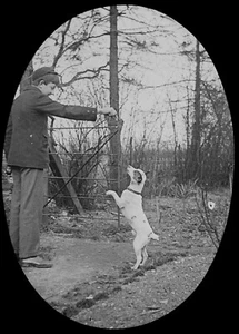 FOTO EDUARDIANO NIÑO ALIMENTANDO A UN PERRO C1910 LINTERNA MÁGICA DIAPOSITIVA TERRIER - Imagen 1 de 3
