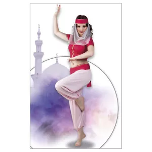 ORIENTALISCHE TÄNZERIN KOSTÜM Karneval Fasching Party Harem Dame Orient 36 / 38 - Bild 1 von 2