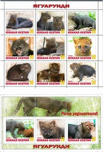 Stamp sheet+block Jaguarrundi 2021 South Ossetia Wild Cats issue - Picture 1 of 1