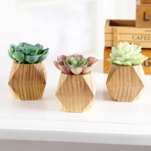 Flora Bunda Artificial Plants Cactus in Wood Geo Planter,Set of 3 - Bild 1 von 4