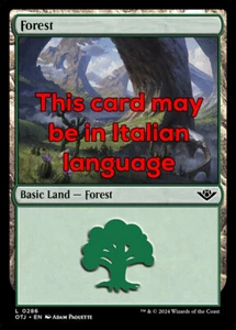 MTG FOREST 286 FOIL EXC - FORESTA - OTJ - MAGIC - Picture 1 of 1