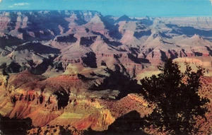 Postcard AZ Williams Arizona-Grand View Point South Rim Grand Canyon-Fronske B8 - Picture 1 of 2