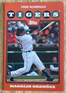 DETROIT TIGERS, 2008 SEASON SCHEDULE, AMAZING ! - Picture 1 of 1