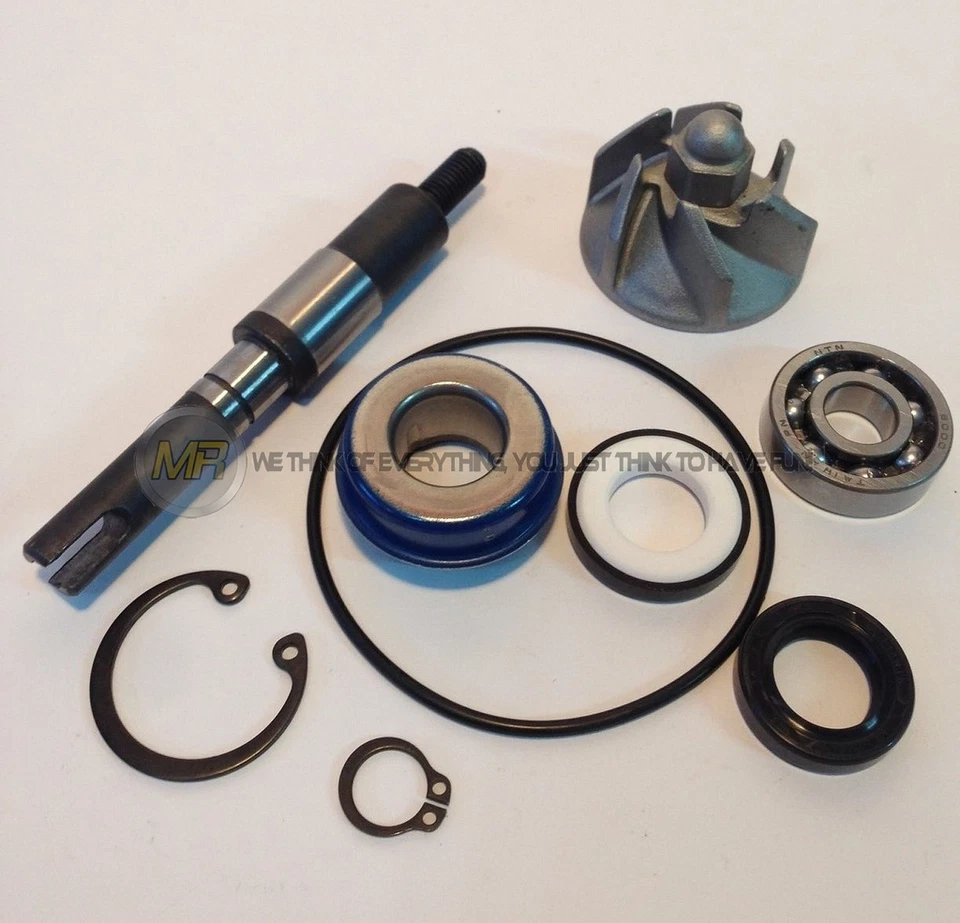 PER Honda Dylan 125 [SES] 4T 2004 04 KIT REVISIONE POMPA ACQUA RICAMBI - Immagine 1 di 1
