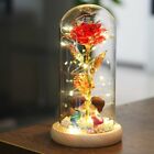 LED Galaxy Rose Flower In Dome Glass Night Light Mother's Day Birthday Gifts