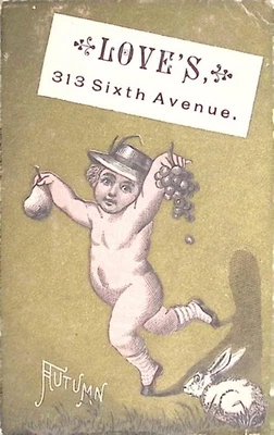 Cartão comercial Samuel Love Worsteds 313 Sixth Ave NY publicidade vitoriana outono - Imagem 1 de 3