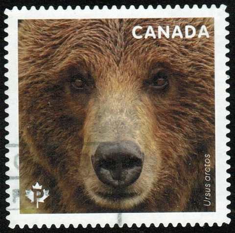 Canada sc#3194 Bears: Grizzly Bear, Unit from Booklet, Used Cover