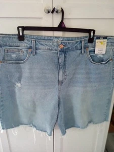 NWT Women's Blue 5 Pkt Terra & Sky Denim Shorts Size 20W - Picture 1 of 6
