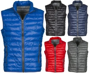 Gilet Smanicato Uomo Leggero 100 Grammi Antivento Caldo Fino alla 3XL - Foto 1 di 11