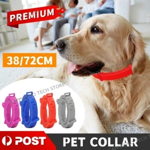 Anti Flea and Tick Neck Collar For Pet Dog Cat 8 Months Protection Adjustables - Picture 1 of 9