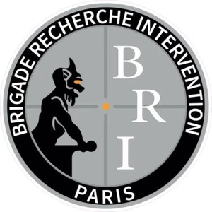 BRI Brigade Recherche Intervention Paris argenté autocollant sticker logo368 - Bild 1 von 2