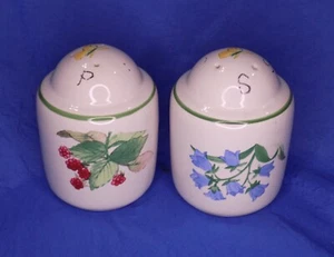 PFALTZGRAFF GARDEN BREEZE Salt & Pepper Shaker Set - Picture 1 of 8