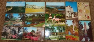 MIXED LOT 13 VINTAGE FLORIDA POSTCARDS MINUTE MAID PLANT SHELLS CITRUS GROVES - Bild 1 von 2