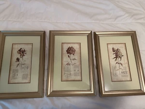 Tre stampe botaniche abbinate incorniciate. Made in Canada. - Foto 1 di 5