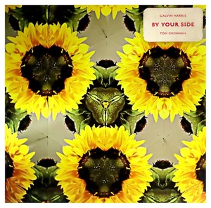 CALVIN HARRIS = By Your Side = VINYL 12" SINGLE = ELECTRO HOUSE DANCE CLUB - Bild 1 von 2