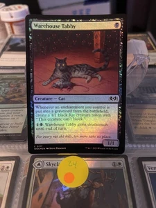 Warehouse Tabby Wilds of Eldraine Folie - Bild 1 von 1