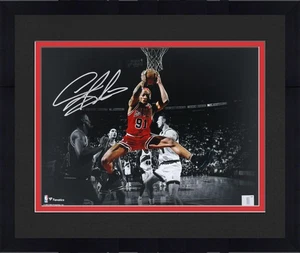 Framed Dennis Rodman Bulls Signed 11x14 Spotlight Rebound Photo - in Silver - Picture 1 of 1