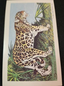 Vintage 1982 TSR Advanced Dungeons & Dragons Card - Picture 1 of 2