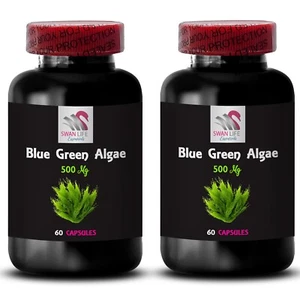 Píldoras de algas espirulina - ALGAS VERDES AZULES - Soporte diario de algas 2 botellas 120 cápsulas - Imagen 1 de 7