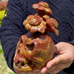 3.86lb Natural Warring States Red agate Crystal SKull Reiki Healing - Foto 1 di 12