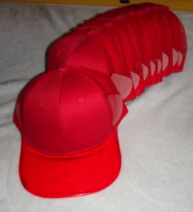 Menge 12 LEERE ROTE TRUCKER KAPPE MÜTZE MIT TRANSPARENTEM KLAREM SCHIRM GROSSHANDEL GROSSPACKUNG - Bild 1 von 11