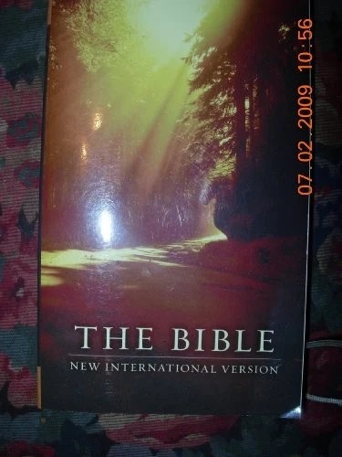 THE BIBLE - VERY GOOD — 第 1/1 张图片
