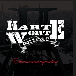 HARTE WORTE - EXTREM UNANGENEHM LP + CD limited black Skinhead Oi! Punk Soifass - Bild 1 von 1