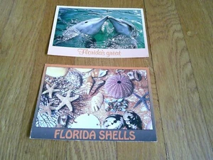 Gebrauchte Vintage Florida Postkarten Dophins Muscheln - Bild 1 von 12