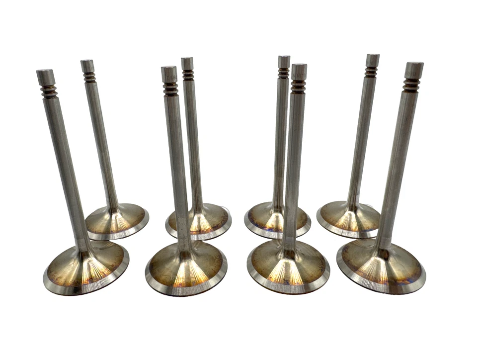 Audi A3 A4 (2000-2013) GENUINO CCSA CMXA ALZ 1.6 Válvulas de entrada X8 | 06B109601D Foto 1 de 2