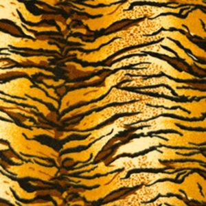 TIGER feuchtigkeitsableitender Reiseteppich. Stalldecke.  2ft 6 - 7ft - Bild 1 von 1