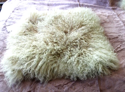 NEW w/ TAGS West Elm Mongolian Lamb Pillow Cover 16x16 Rosette Color - Image 1 of 4