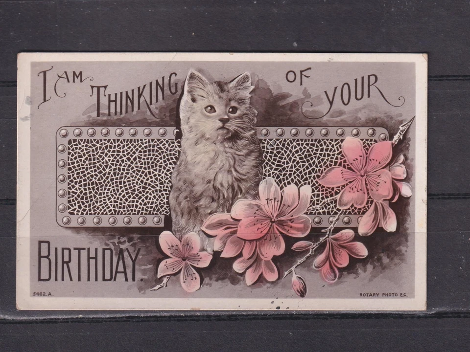 NEW SOUTH WALES, FREEMAN'S REACH 1907 inwards Birthday ppc. Cat, Windsor transit - Image 1 of 1