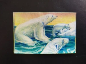 FIGURINA FORESTA MISTERIOSA LAMPO 1957 n 213 OTTIMA DA RECUPERO - Foto 1 di 2