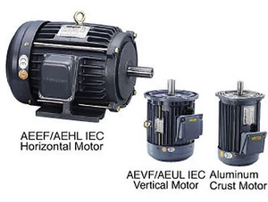 MingLun AC IEC Induction Motor AEVF (Vertical) Motor 1/4 HP 4P 230/460-UL - Picture 1 of 2