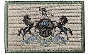 BANDIERA DI STATO PENNYSYLVANIA PA CAVALLI EMBLEMA MULTICAM MILITARE TATTICO GANCIO TOPPA - Foto 1 di 2