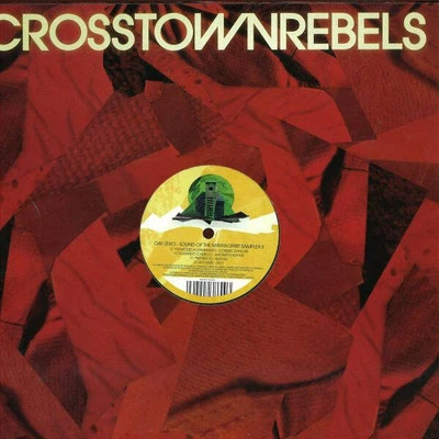 Various - Day Zero - Sound Of The Mayan Spirit Sampler II (VINYL) - Image 1 of 4