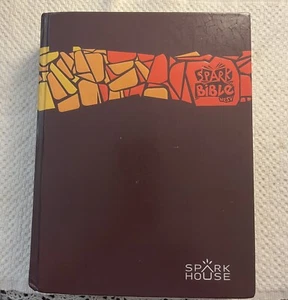 Spark House Bible NRSV 2009 w/ Topical Maps & Thinking Point Stickers - Picture 1 of 8