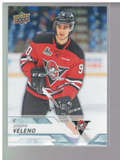 B1981-2018-19 Upper Deck Chl Hockey Cards 1-250 - Du Pick-10 + Free US