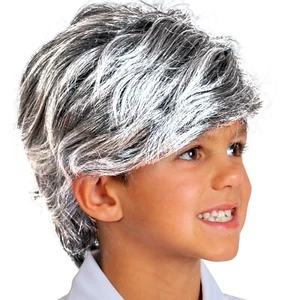 100 Days of School Boy Wig Old Man Child Dress up - Picture 1 of 3