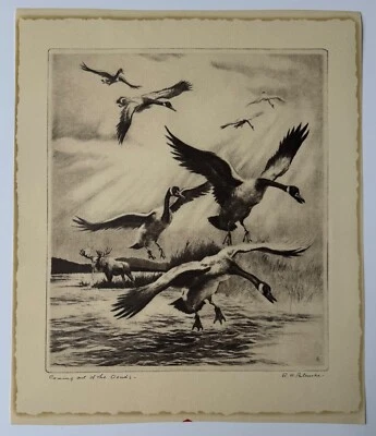 Coming Out of the Clouds, RH Palenske Vintage 1948 Estampa de Calendário Ocidental, Patos - Imagem 1 de 4