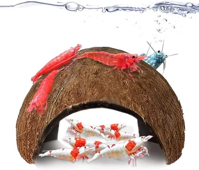 SunGrow Coconut Aquarium Shrimp Cave, Small Fish Tank 2 Pieces, Brown  - Image 1 of 4