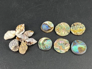 Black Mother of Pearl Shell Mini Discs Plates Tiny Sea Shells Dollhouse Props - Picture 1 of 5
