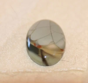 Willow Creek Jasper Oval Cabochon 24.5 carats - Picture 1 of 4
