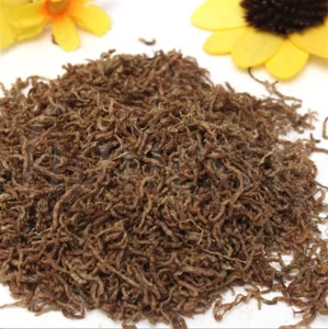60g/100g/250g Bloodworm liofilizzato pesce tropicale fresco disco alimentazione cibo - Foto 1 di 4